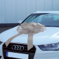 Preview: Geschenkschleife grau/silber