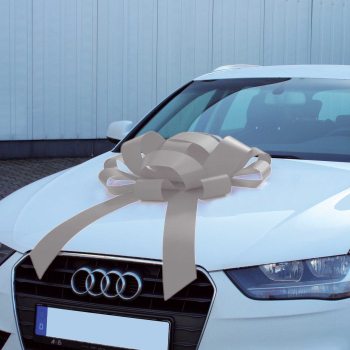 Geschenkschleife grau/silber